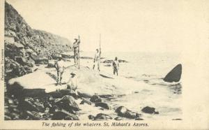 portugal, Azores Acores, SAÕ MIGUEL, Whale, Fishing of Whalers, Whaling (1899)