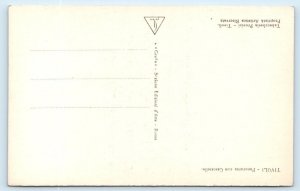 RPPC TIVOLI Panorama con Cascatelle ITALY Postcard