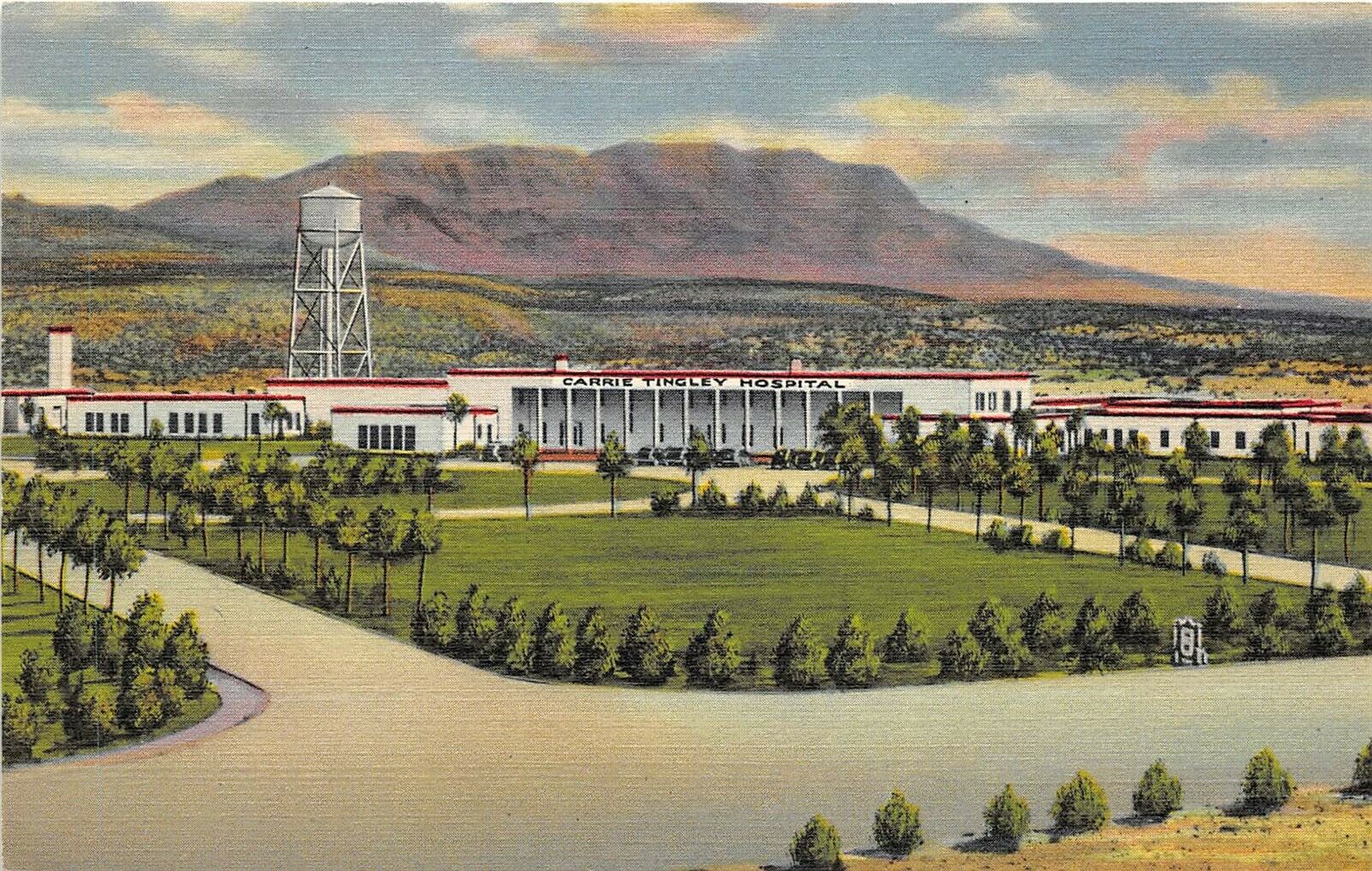 Hot Springs New Mexico 1940s Postcard Carrie Tingley Hospital & Caballo