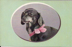 Cute Little Dog Puppy w Ribbon Collar, 1910 German Litho, Animal Portrait,