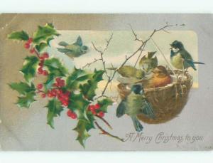 Pre-1907 christmas CUTE BIRDS IN BIRD NEST k0828