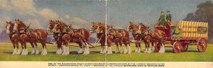 Anheuser-Busch, St Louis Brewery Wagon, Panorama, Clydesdales, Old Post Card