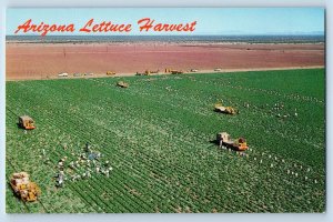 Phoenix Arizona AZ Postcard Lettuce Accounts Harvest Farming Field c1960 Vintage