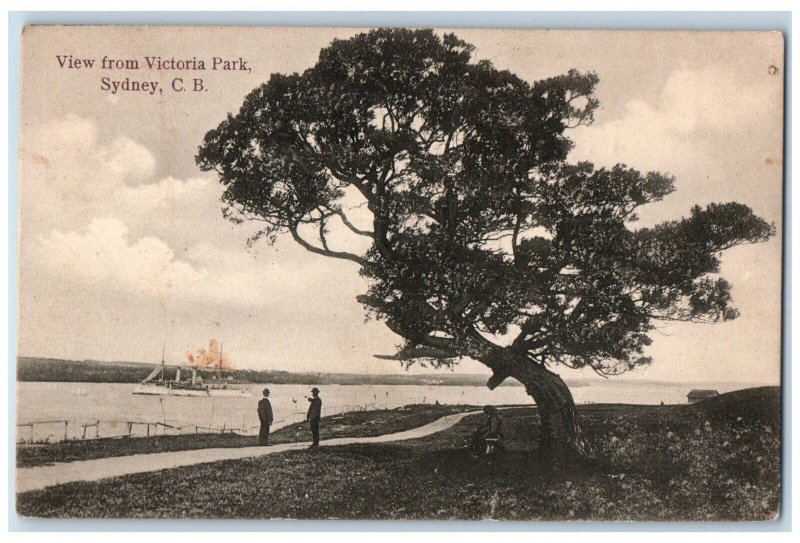 Sydney Cape Breton Canada Postcard Big Tree Steamer View from Victoria Park 1907