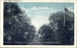 Goshen NY Main St. American Flag Old Postcard