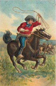 Postcard C-1910 Cowboy Western Horse roping lasso TP24-2077