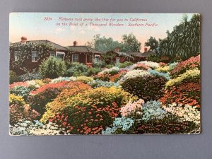 Flowers Along The Road Of A Thousand Wonders CA Litho Postcard A1144082958