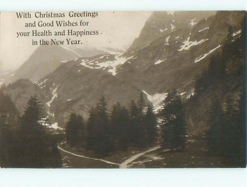 Old rppc NATURE SCENE Great Postcard AB0497