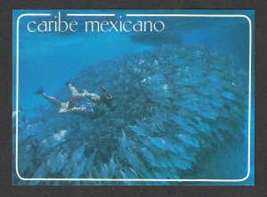 Caribe Mexicano