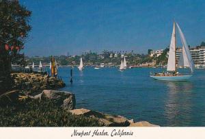 California Newport Harbor Sailboats In Harbor