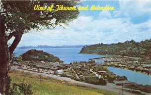 Tiburon California 1960s Postcard View Of Tiburon and Belvedere