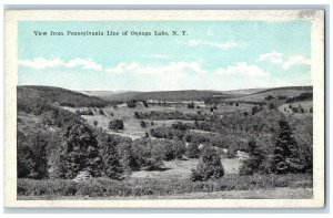 c1910 View from Pennsylvania Line Oquaga Lake New York NY Vintage Postcard
