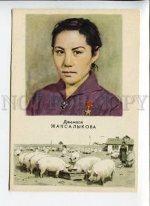 3170586 ZHAKSALYKOVA Pig farming Worker KOLKHOZ old Soviet PC