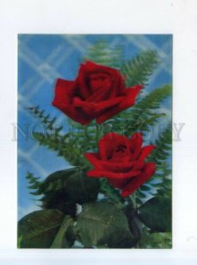525962 France bouquet of roses lenticular 3D Old postcard