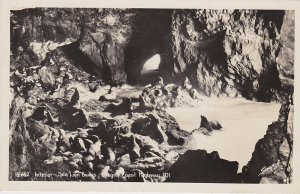 Oregon Coast Highway 101 Sea Lion Caves  Interior 1947 Real Photo