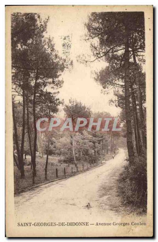 Old Postcard Saint Georges de Didonne Avenue Georges Coulon