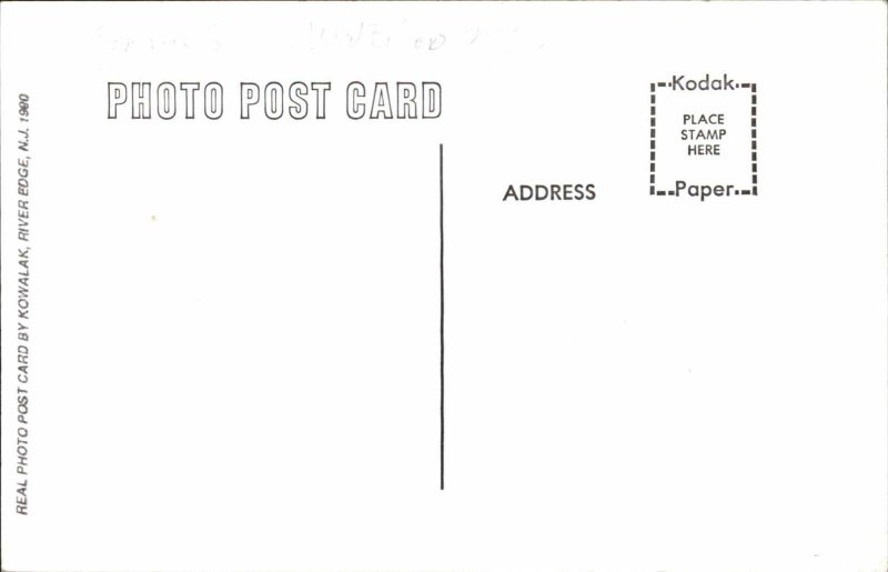 Chick's Diner Waterloo? NY 1980s Real Photo Postcard