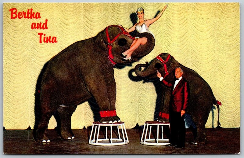 Vtg John Ascuagas Nugget Sparks Reno NV Circus Room Theater Restaurant Postcard