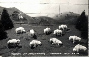 RPPC American Buffalo Museum of Woodcarving Spooner WI Vintage Postcard B37