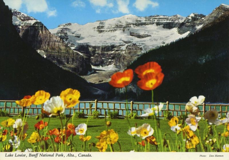 Lake Louise Banff National Park Banff AB Alberta Mount Victoria Postcard D9