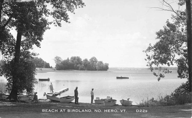 North Hero Vermont Beach At Birdland Real Photo Antique Postcard K86944