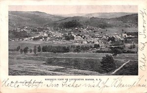 Bird's Eye View Livingston Manor