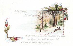 Vintage Postcard 1923 A Merry Christmas Greetings and May New Year Hold For You