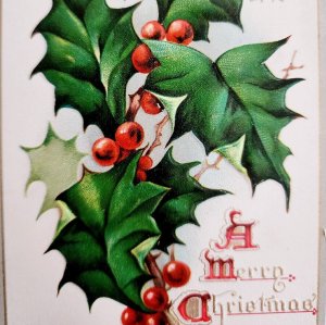 Raphael Tuck Holly Leaves And Berries Christmas Card Postcard No.500 1909 PCBG5E