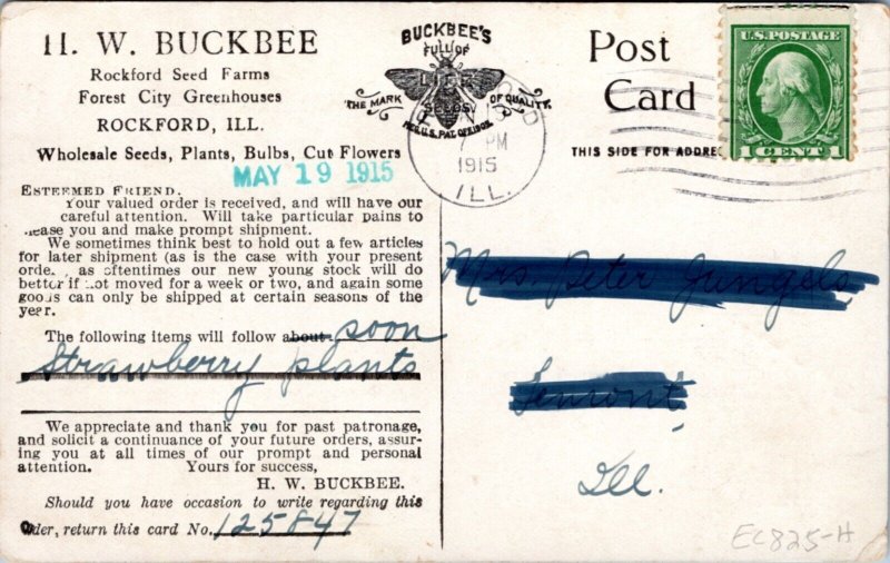 Postcard advert IL Rockford - Buckbee Seeds - Woman Picking Peas