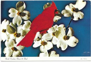 US North Carolina- State Flower & Bird - Dogwood & Cardinal. Used with postage