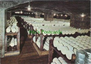 Food & Drink Postcard-One of Roquefort Cheese Caves,Roquefort-Sur-SoulzonRR13694