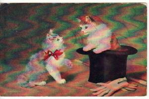CATS   KITTENS, GLOVES, TOP HAT  1908 postcard