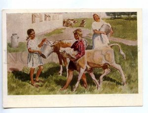 217694 RUSSIA Tsigal patrons Socialist Realism cow children old postcard