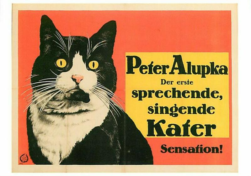 Peter Alupka Speaking Singing Cat Performing Animal Modern Postcard