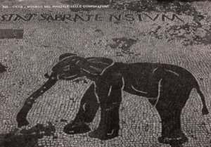 Ostia Mosaico Nel Piazzale Delle Corporazioni Italy Elephant RPC Postcard