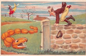 A ROW OF PUMPKINS SNAKE WITCH CRESCENT MOON HALLOWEEN EMBOSSED POSTCARD c. 1910