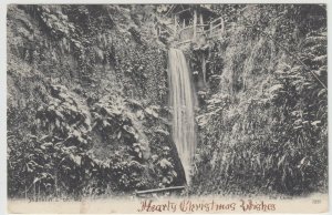 Isle of Wight; Shanklin, The Chine, 1225 PPC From Victoria Series, 1911 To Rev 