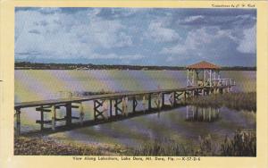 Florida Mount Dora View Along Lakeshore Of Lake Dora Dexter Press