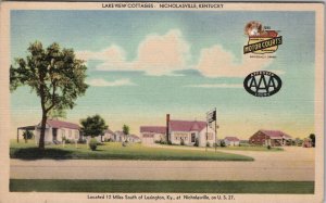 Nicholasville Kentucky Lakeview Cottages Postcard Z30
