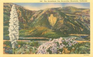 San Bernardino Mountains California Arrowhead and Yucca Linen Postcard Unused