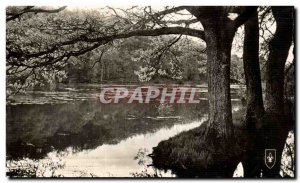 Postcard Modern Foret Troncais pond Piret