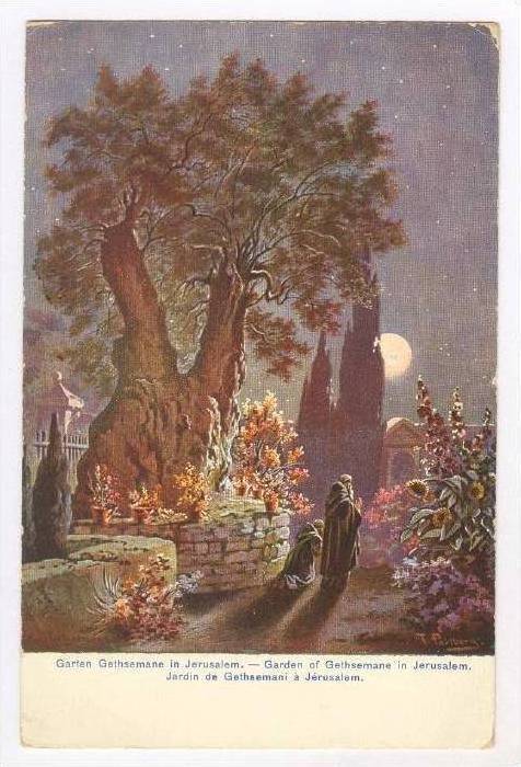 Garten Gethsemane In Jerusalem Israel 00 10s Hippostcard