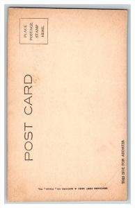 Woman Posing  , flowers in hair