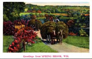 Wisconsin Greetings From Spring Brook