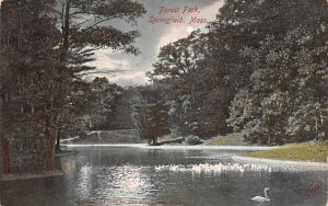 Forest Park Springfield, Massachusetts Postcard