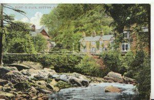 Wales Postcard - Pont-y-Pair - Bettws-y-Coed - Caernarvonshire - Ref TZ3078