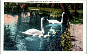 1940s The Happy Family Swans at Winona Lake Indiana Postcard