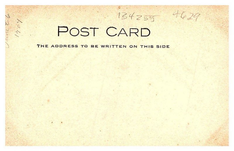 Pine Side of Eli Delfords Home  RPPC