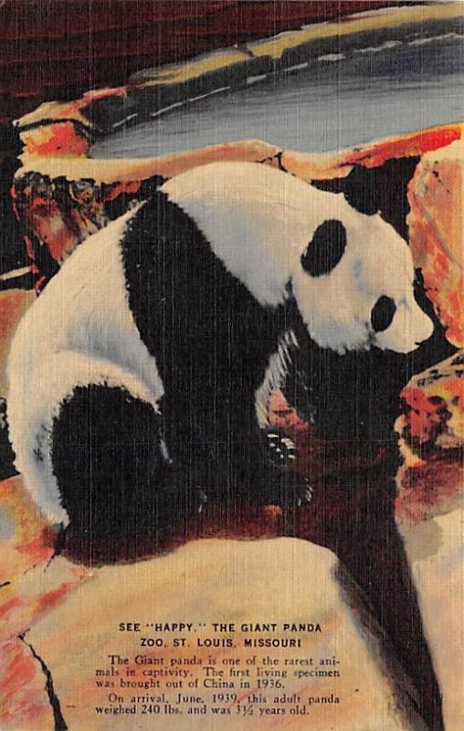 See, happy, the giant panda St. Louis, MO, USA Panda Bears Unused 