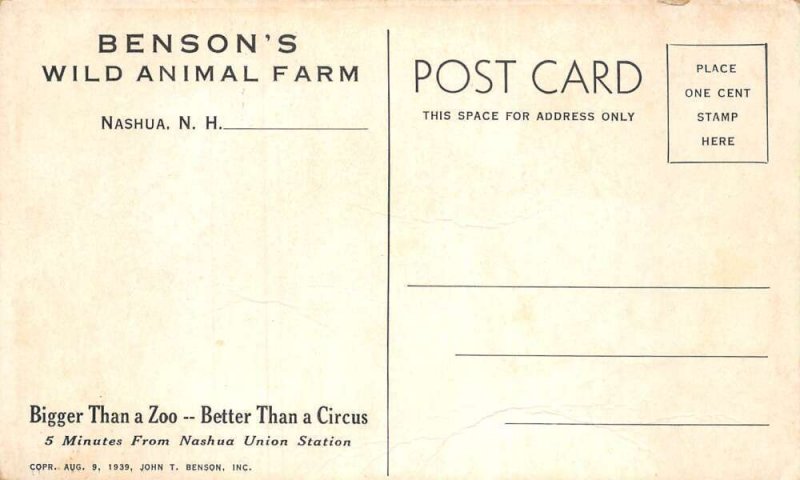 Nashua New Hampshire Benson's Wild Animal Farm Elephant Vintage Postcard AA66221